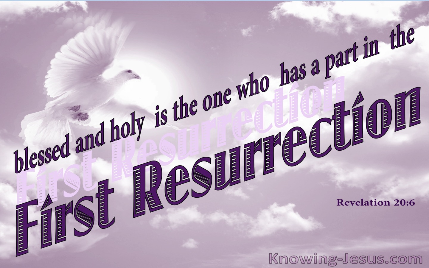 Revelation 20:6 The First Resurrection And TheSecond Death (pink)
